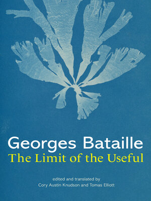 cover image of The Limit of the Useful